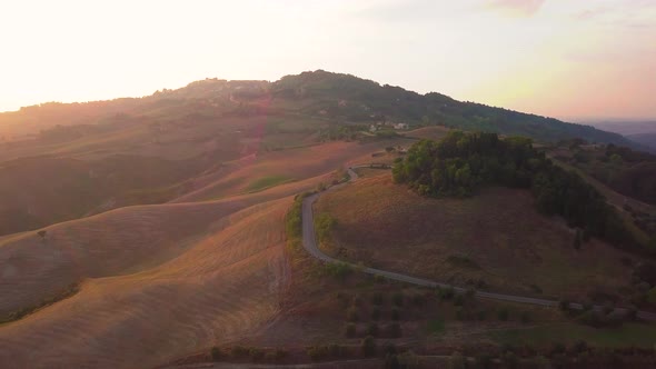 Aerial Footage, Gorgeous Vineyards on Sunset in Tuscany, Italy,