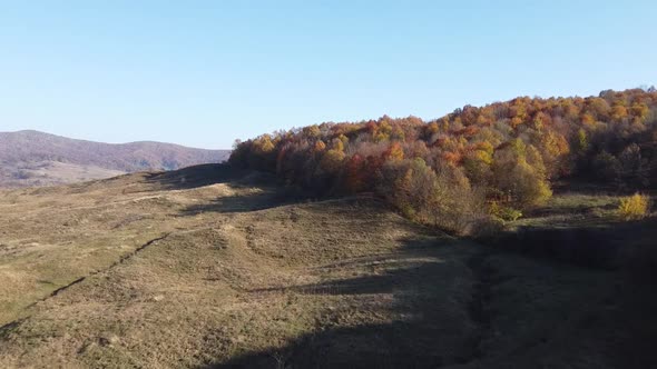 Aerial view of hills on autumn season. Fall colors of a forest in Autumn Season