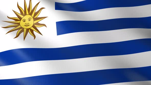Flag of The Uruguay