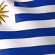 Flag of The Uruguay - VideoHive Item for Sale