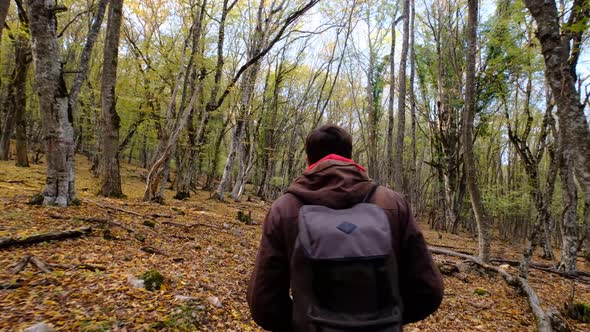 a Man with a Backpack Walks Alone on a Forest Road