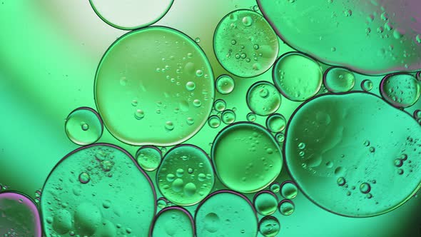 Abstract Colorful Food Oil Drops Bubbles 188 alt
