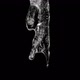 Icicle Melting with Alpha Channel  - VideoHive Item for Sale