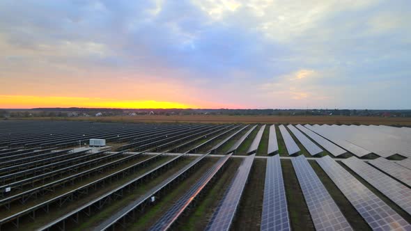 Aerial Drone View Into Large Solar Panels at a Solar Farm at Summer Sunset. Solar Cell Power Plants