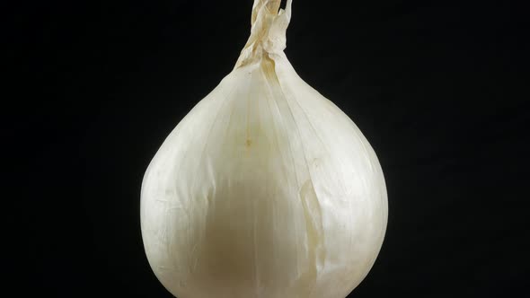 white onion on black background