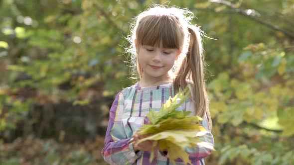 Portrait of Happy Child Girl with Bunch of Yellow Autumn Leaves Smiling in Camera on Bright Blurred