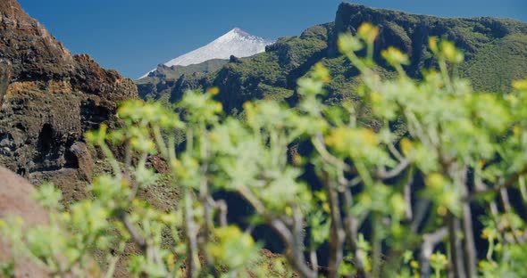 Spectacular Cinematic View on Snowy Peak of Volcano Teide From Masca Gorge Tenerife Canary Islands