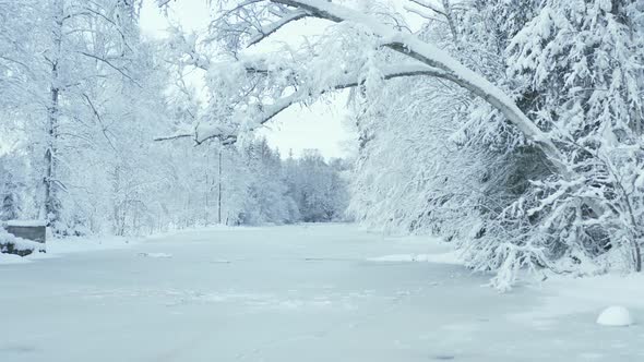 AERIAL - Frozen lake in a snowy forest in Sweden, wide shot forward