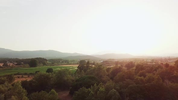 Aerial drones shot flying forward over a forest with green fields and the sunset in the background.