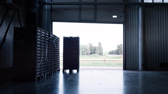 Company Delivery Warehouse Pallets Before Export Shipment Storage Management