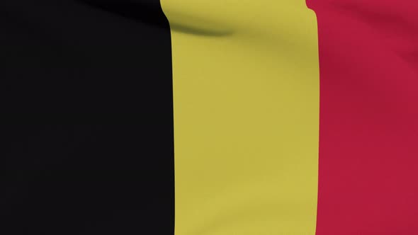 Flag Belgium Patriotism National Freedom Seamless Loop