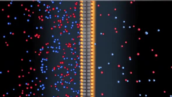 cell transports sodium Potassium ions to exterior of cell releasing 2 potassium