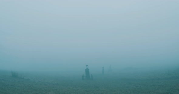 Foggy Cemetery Walk