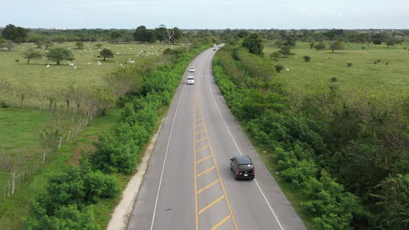 Asphalt Road Through Green Tropical Field