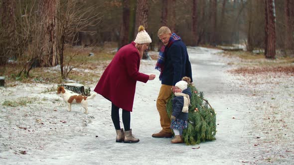 Family Carries a Tree in the Park