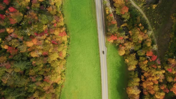 Aerial Top Down  View of Back Car Driving on Country Road Fall Foliage Forest