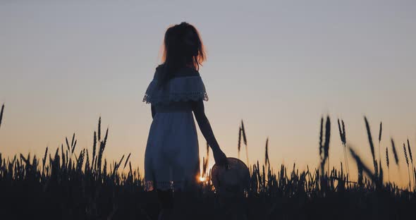 Woman Walks Through a Wheat Field at Sunset Ears of Wheat