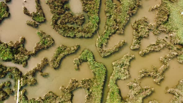 Top down view of wetland.