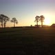 Aerial Cinematic Clip Drone Flying Over a Farm Field During Sunset - VideoHive Item for Sale