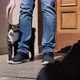 Man Stroking His Cat In Front Of Door Of House - VideoHive Item for Sale