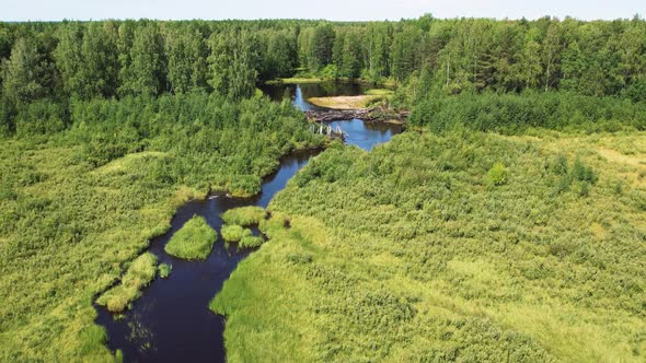 Forest River in the Summer Taiga From a Height of Flight