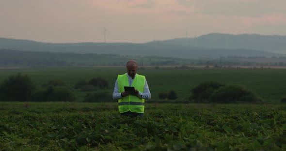 Agricultural Industry. A Male Farmer with a Digital Tablet in a Field at Sunset. Agronomist Uses