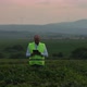 Agricultural Industry. A Male Farmer with a Digital Tablet in a Field at Sunset. Agronomist Uses - VideoHive Item for Sale