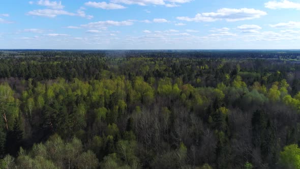 Flying Above the Green Forest in Cloudy Day