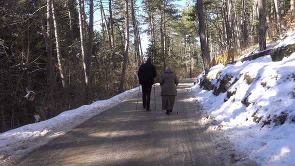 Senior Couple On Walk In Forest