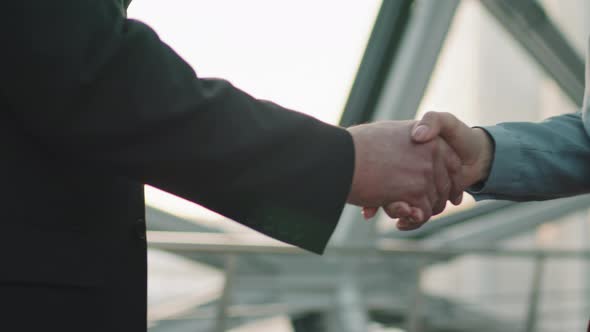 Business Partners Shaking Hands