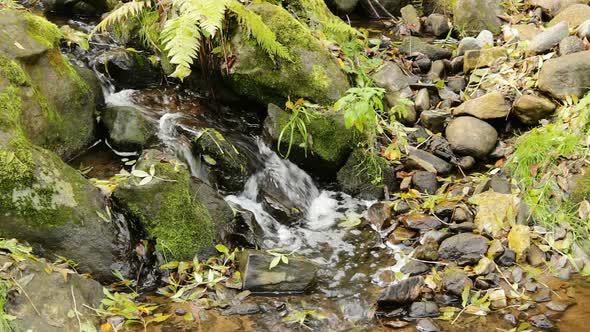 Falls on the small mountain creek