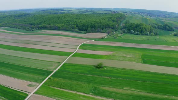 Aerial Farmlands and Forest