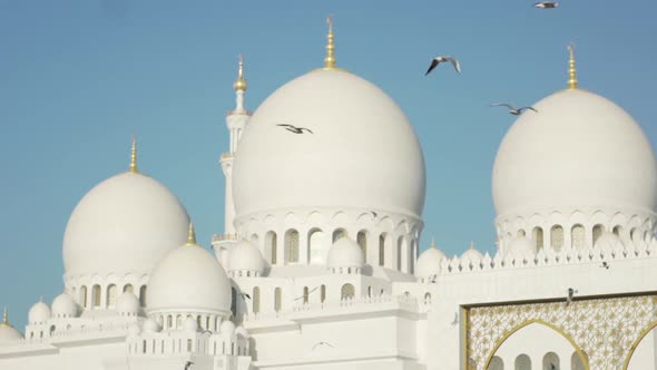 Slow motion Birds In font of Sheikh Zayed Grand Mosque Abu Dhabi