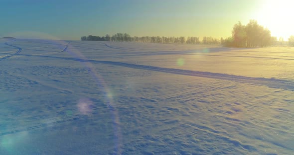 Aerial Drone View of Cold Winter Landscape with Arctic Field, Trees Covered with Frost Snow and