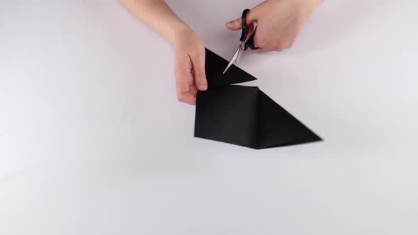 Girl Making Origami. Black Rearmouse. Time Lapse