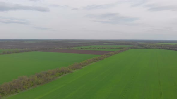 Aerial Landscape Green Field