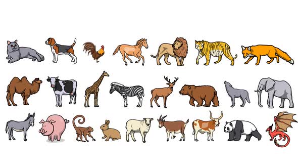 Animals Background Sketch And 2d Animated