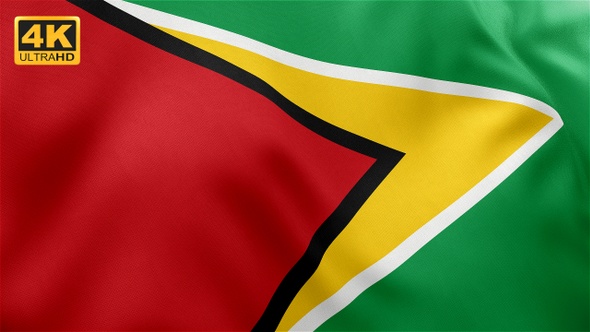 Guyana Flag - 4K