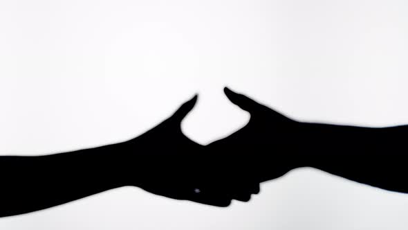 People Making Handshake Gesture Isolated on White Background