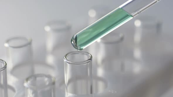 In a Laboratory, a Scientist with a Pipette Analyzes a Colored Liquid