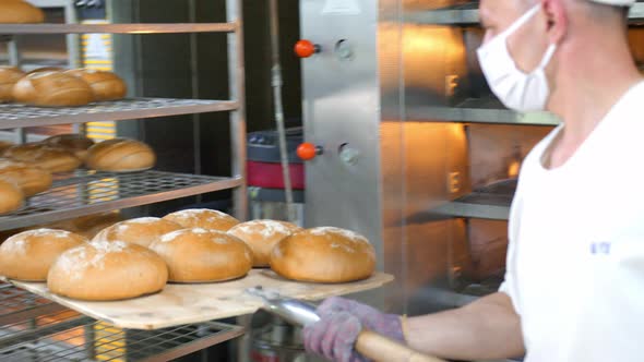 Chef Removes Freshly Baked Bakery Products From the Oven. Baked Bread Is Removed From the Oven in a