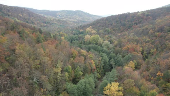 Colorful Autumn View of the Caucasus Mountains