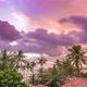 Colorful Cloudy Sunset With Palms - VideoHive Item for Sale