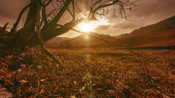 Time Lapse of Death Tree and Dry Yellow Grass at Mountian Landscape with Clouds and Sun Rays