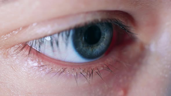 Close Up of Person's Blue Eye While Blinking