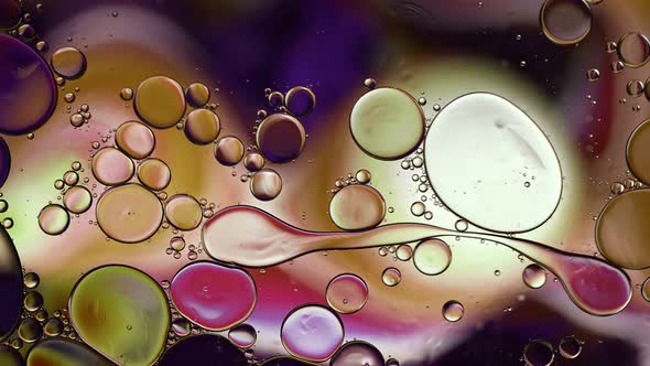 Abstract Colorful Food Oil Drops Bubbles 099