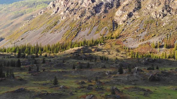 Beautiful Views of the Mountains and Forests of Altai in the Fall on a Sunny Day