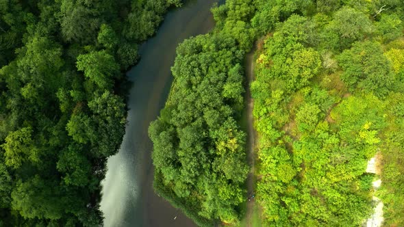 Aerial view of the trees, forests and river in the Derbyshire Peak District National Park near Bakew