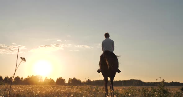 The Rider Quickly Rides His Horse at Dawn