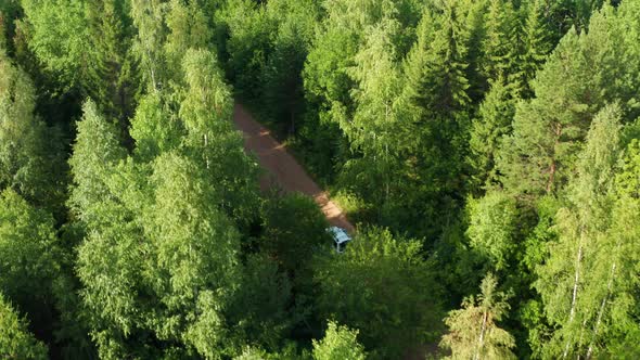 Travelers Drive a Car in the Forest